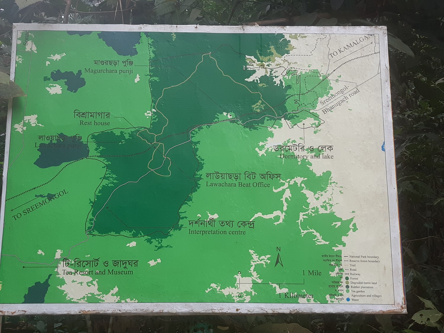 Lawachara-National-Park